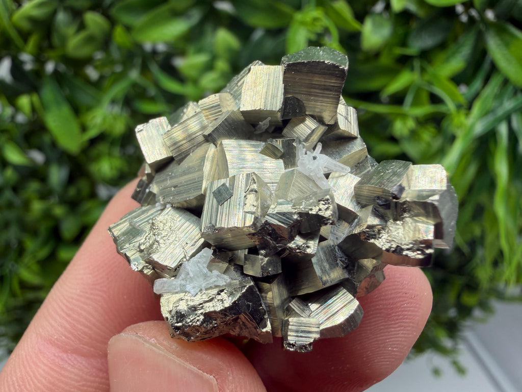 Rare Floating Pyrite Cluster, Fool’s Gold Crystal Decor
