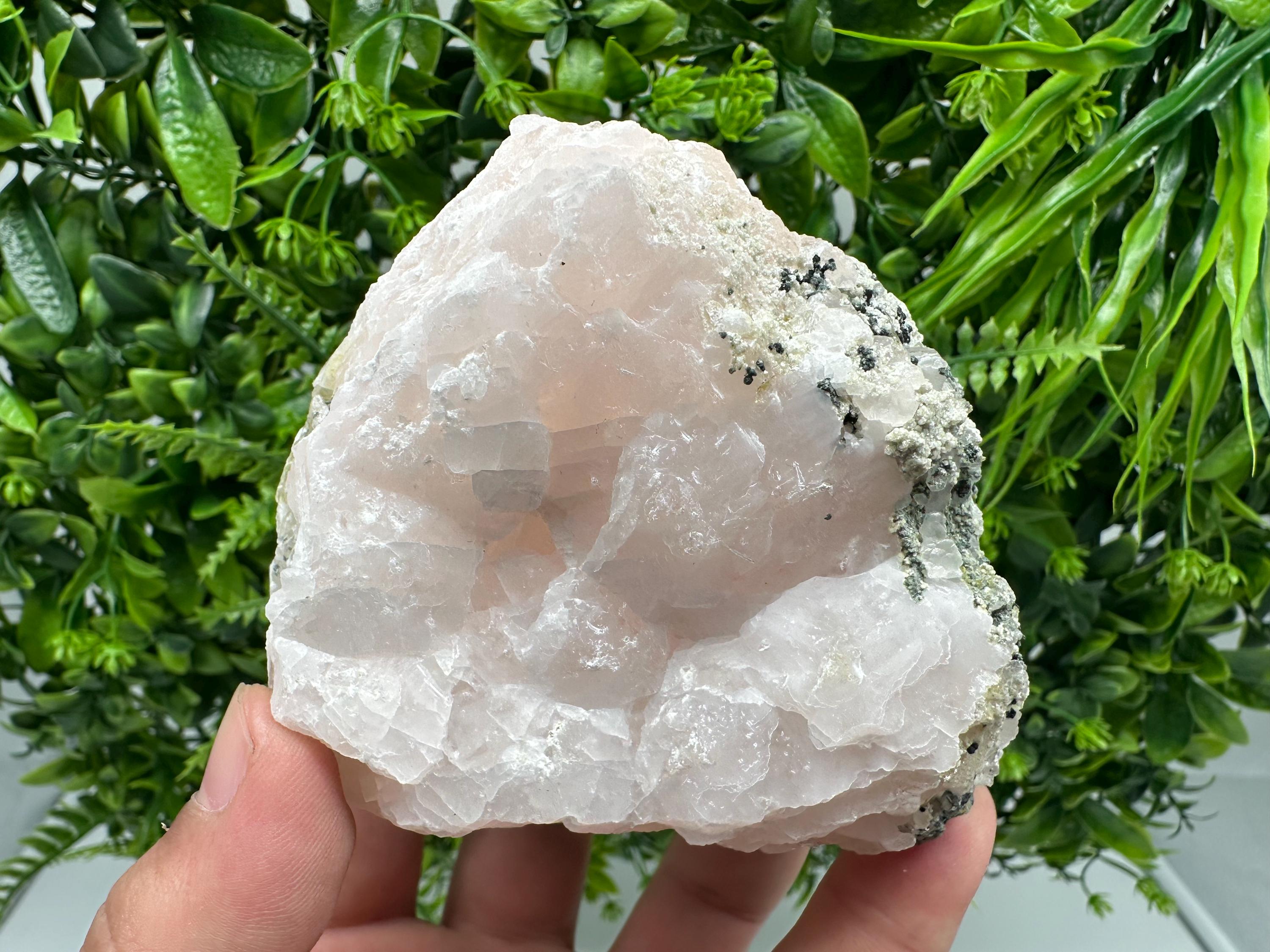UV Mangano Calcite: Borieva Mine, Bulgaria Crystal Decor