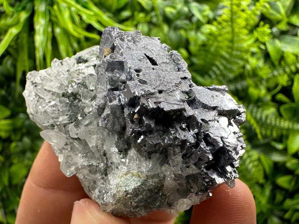 Quartz and Galena Mineral Specimen: Borieva Mine, Bulgaria