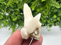Calcite on Aragonite: Rare Healing Crystal from Bulgaria