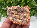 Moroccan Red Chalcedony Crystal Specimen: Rare Mineral Gift