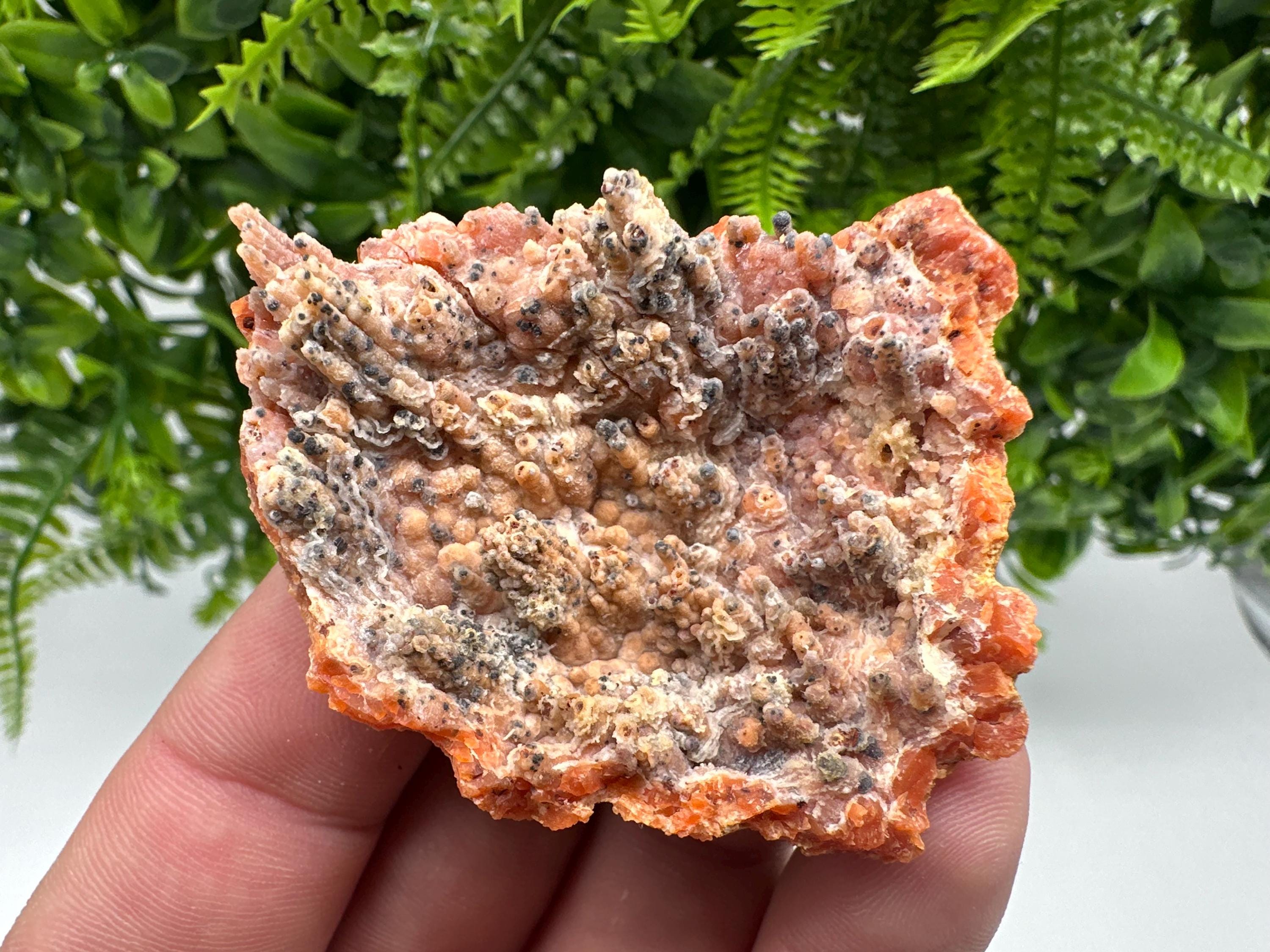 Moroccan Red Chalcedony Crystal Specimen: Rare Mineral Gift