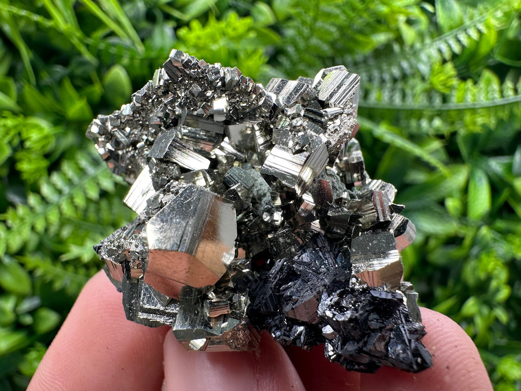 Golden Pyrite with Sphalerite Mineral Specimen, Borieva Mine, Bulgaria