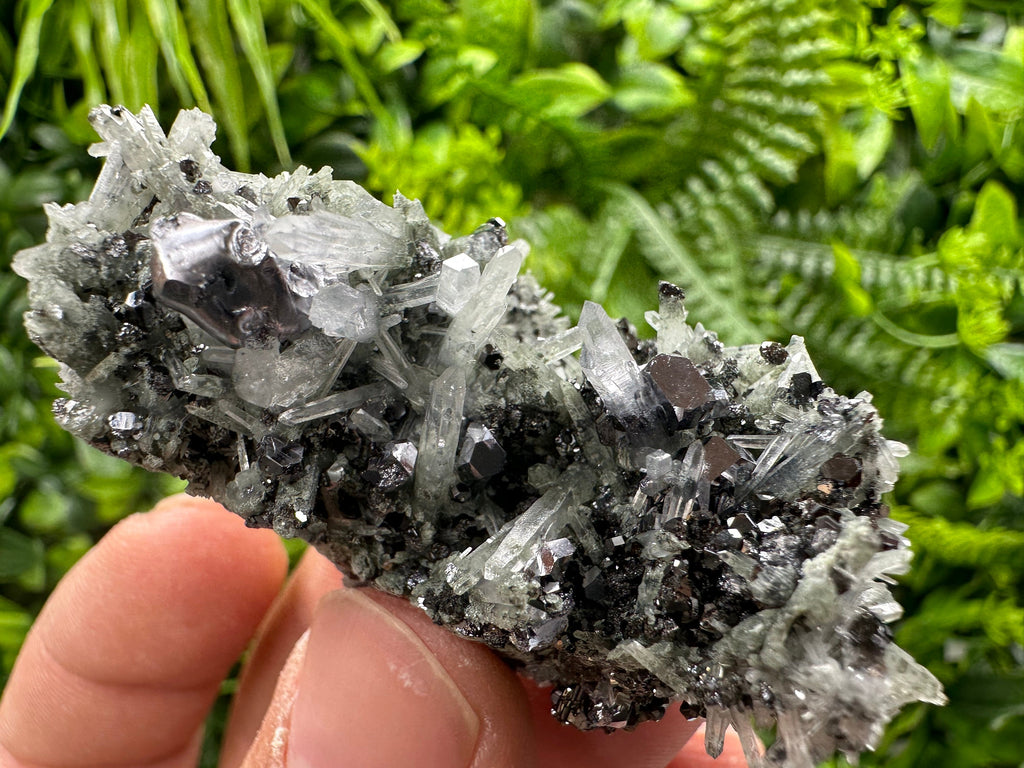 Galena with Sphalerite on Green Quartz - Madan Bulgaria Crystal