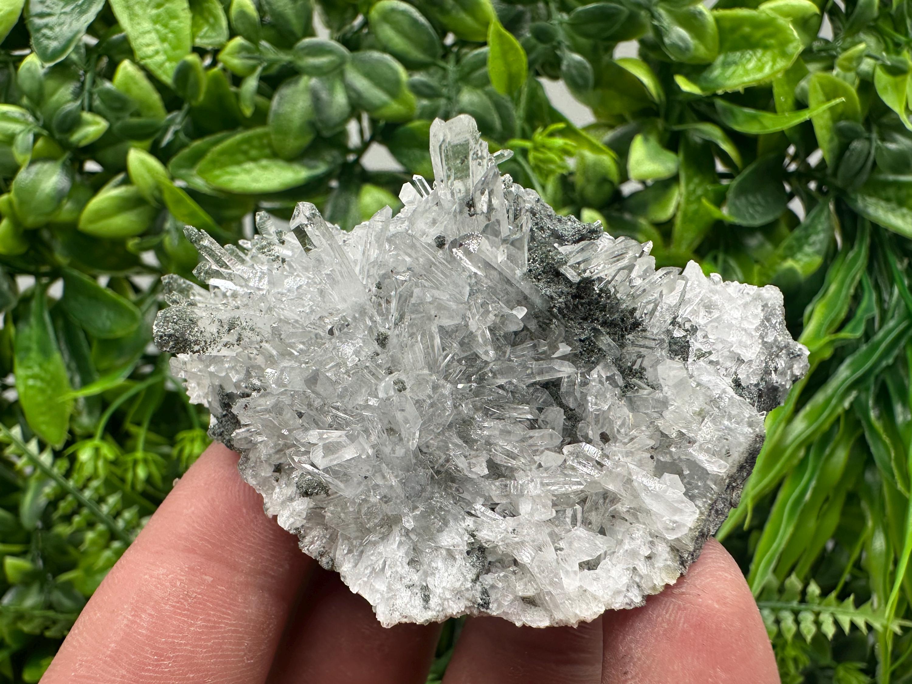 Transparent Quartz on Chlorite Matrix - Borieva Mine, Bulgaria