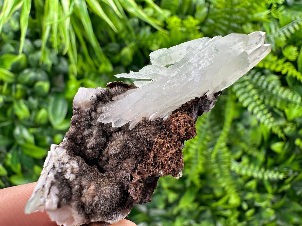 Quartz with Chlorite on Rhodochrosite and Siderite Mineral Specimen