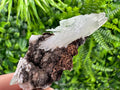 Quartz with Chlorite on Rhodochrosite and Siderite Mineral Specimen