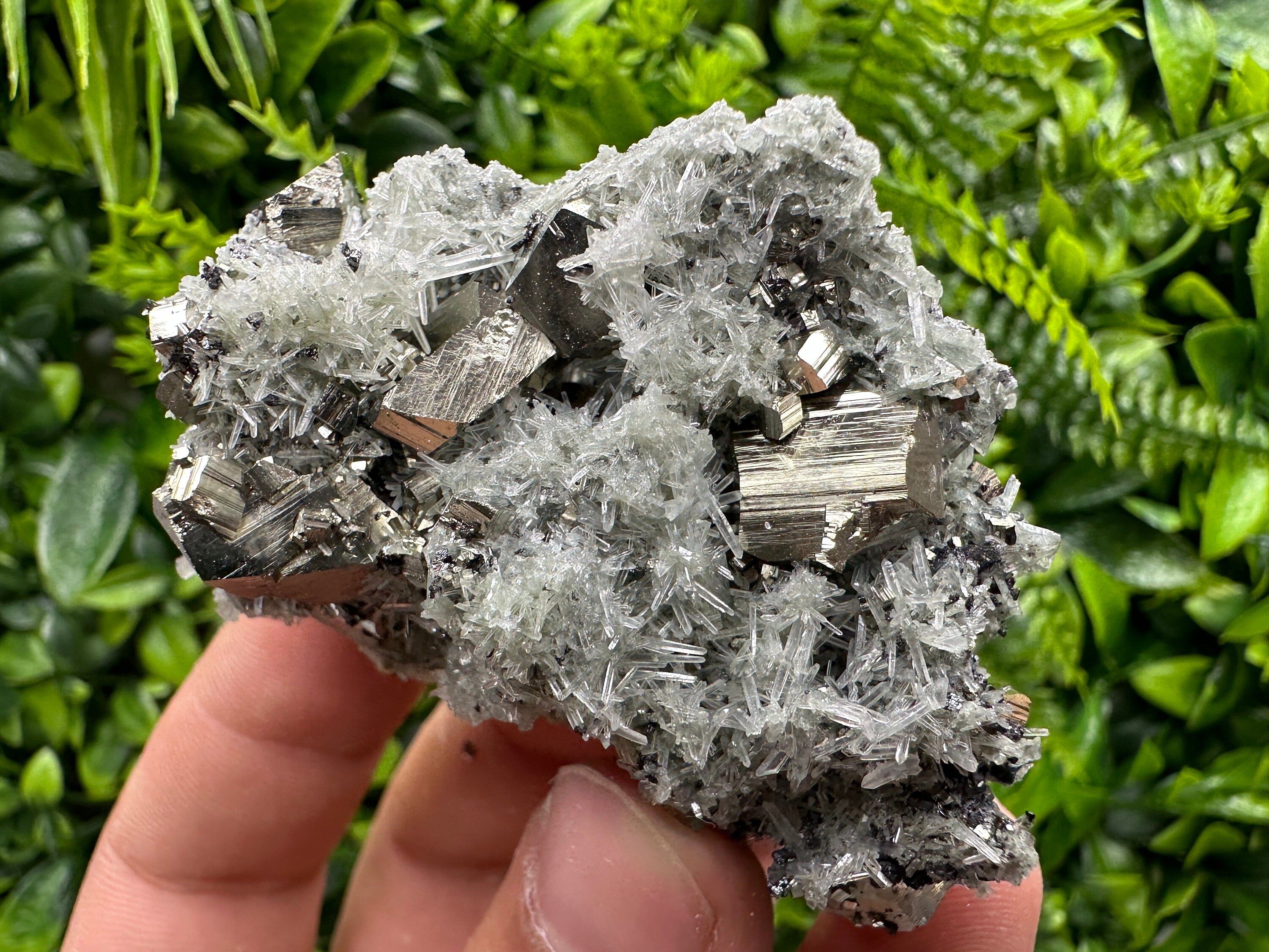 Pyrite on Quartz with Chlorite: Natural Crystal Home Decor from Bulgaria