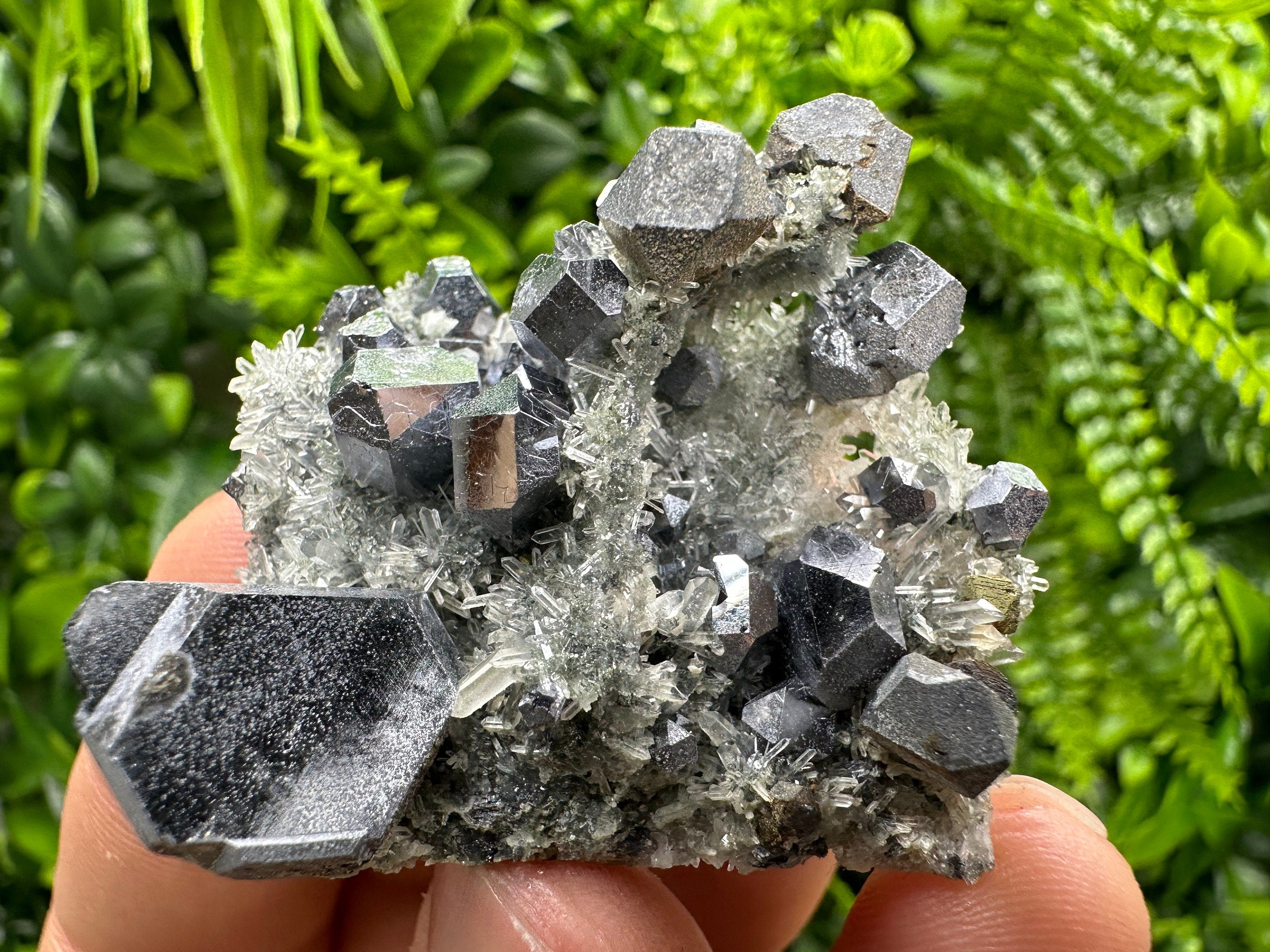 Skeletal Galena on Quartz, Borieva Mine Mineral Specimen