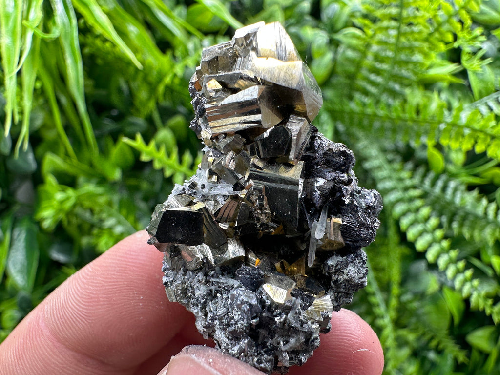 Pyrite Galena Sphalerite Quartz Mineral Specimen, Borieva Mine Bulgaria