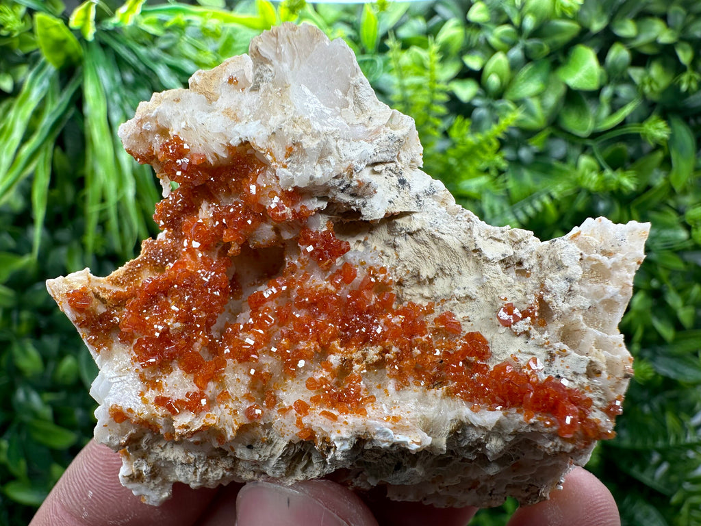 Red Vanadinite Crystal Cluster on Matrix, Morocco Mineral Specimen