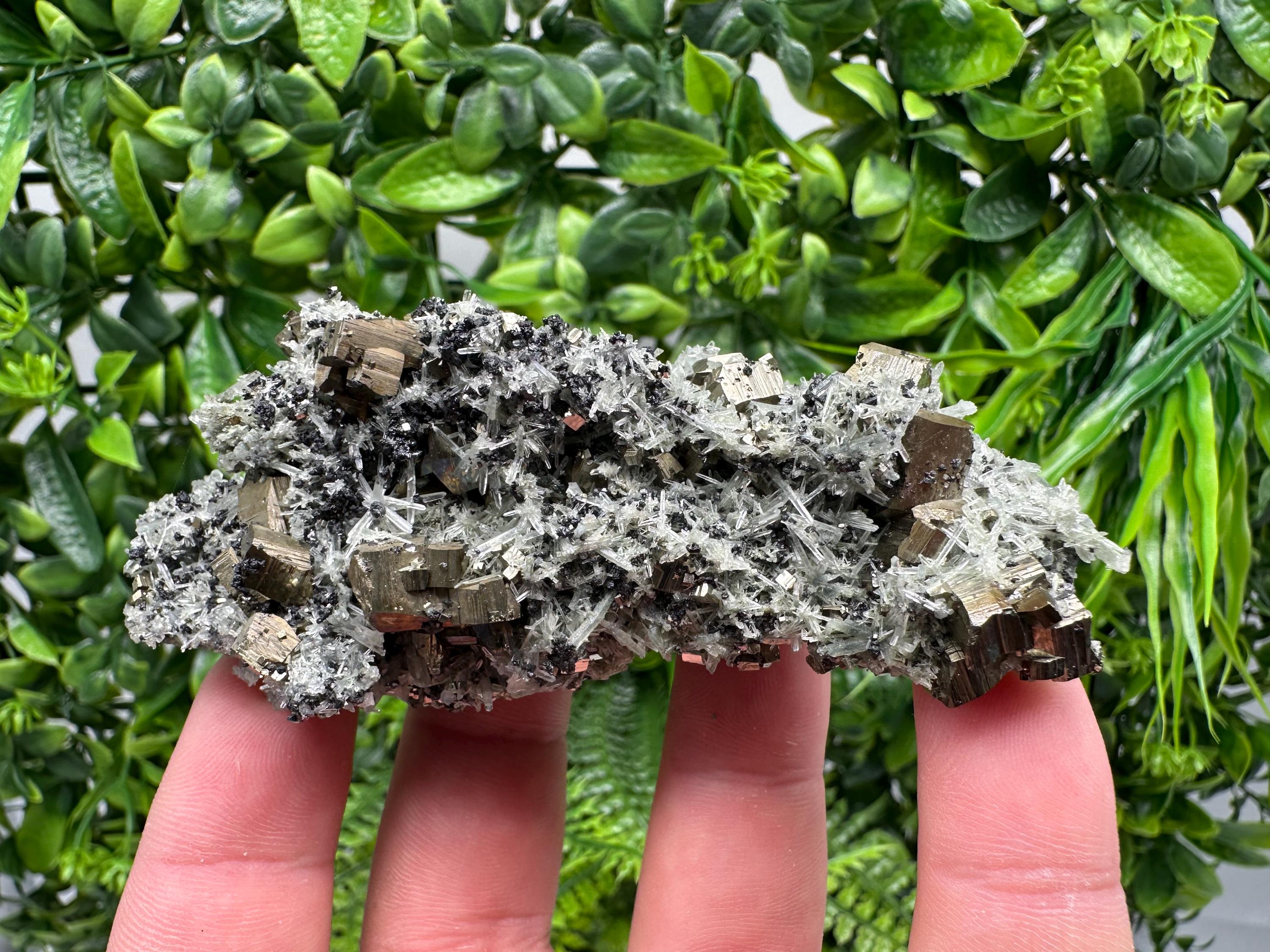 Pyrite on Needle Quartz Mineral Specimen, Borieva Mine, Bulgaria