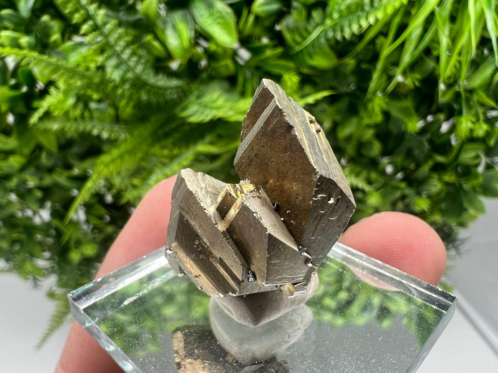 Mini Rare crystallisation Pyrite,Borieva mine,Bulgaria,floating Pyrite,golden Pyrite,Pyrite cluster,mini Collection specimen,Rainbow Pyrite
