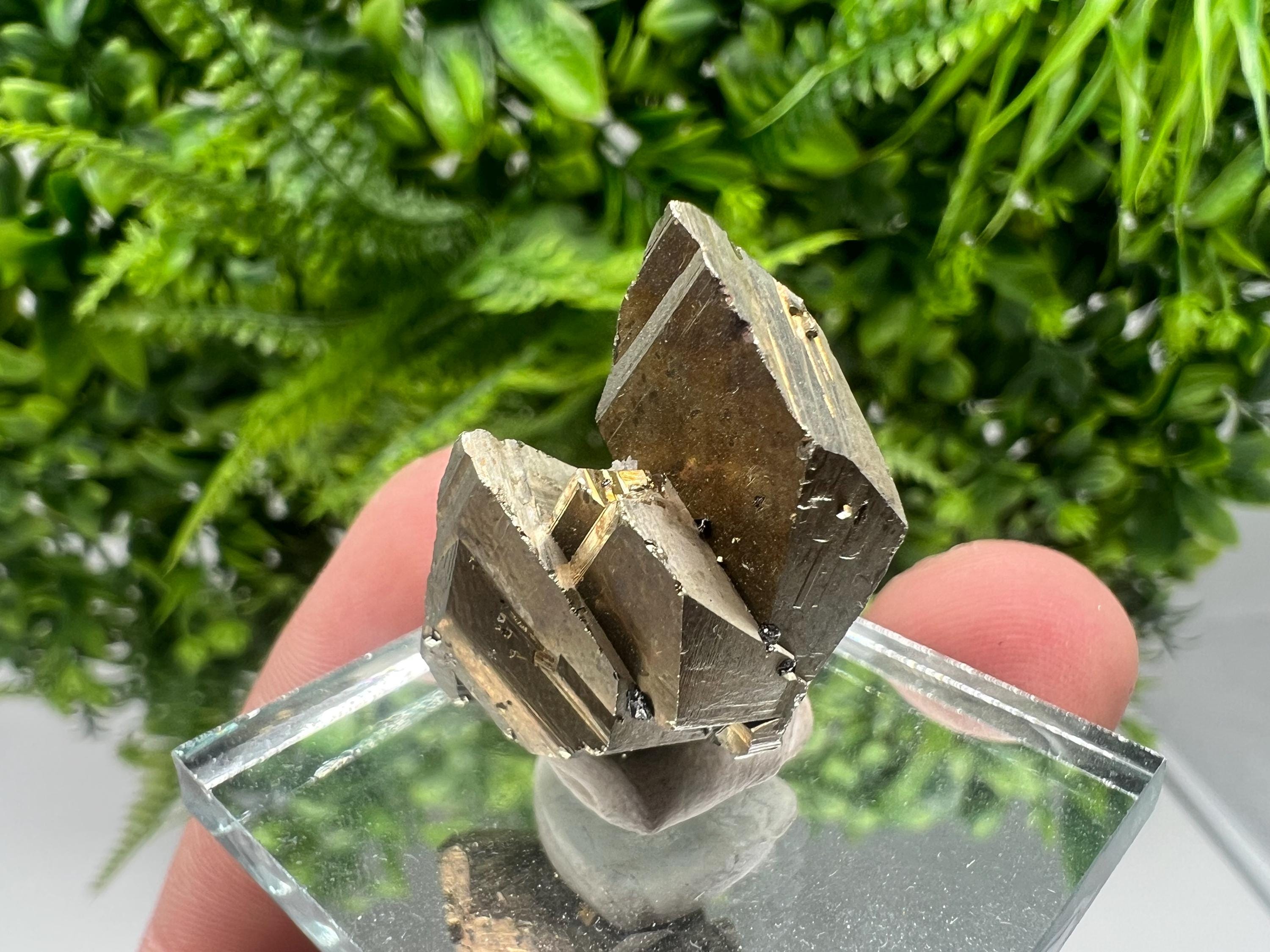Mini Rare crystallisation Pyrite,Borieva mine,Bulgaria,floating Pyrite,golden Pyrite,Pyrite cluster,mini Collection specimen,Rainbow Pyrite