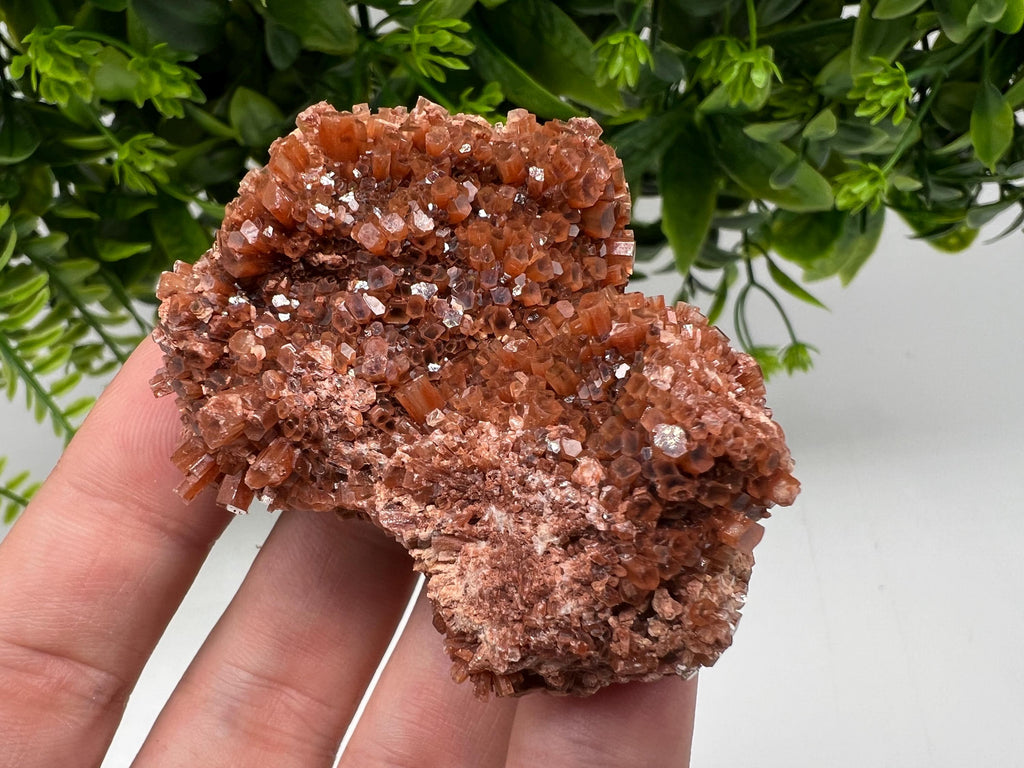 Large Aragonite Sputnik Cluster: Raw Moroccan Crystal Stone, Home Decor