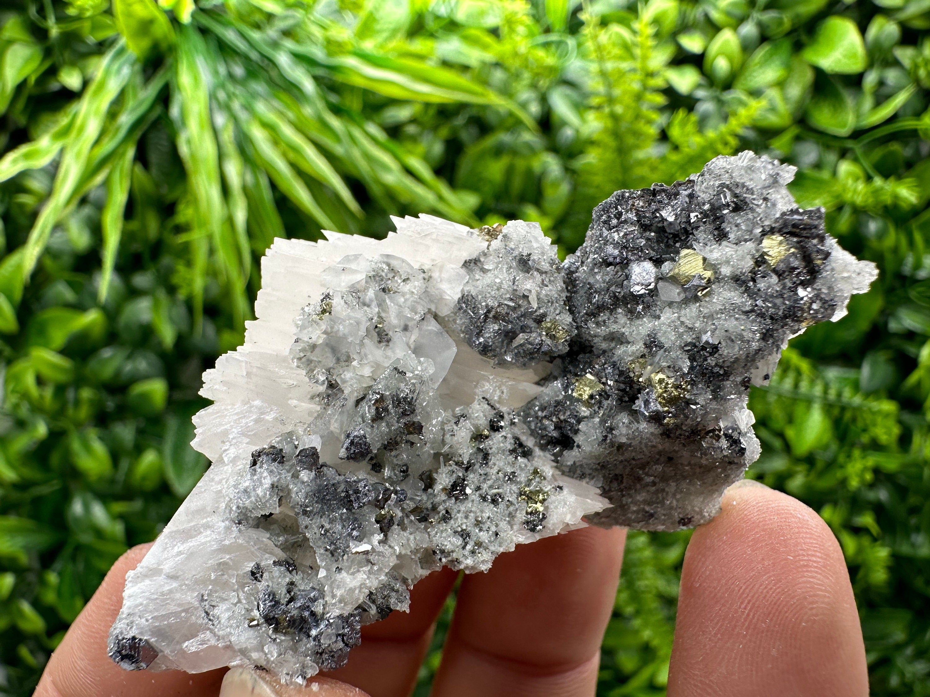 Chalcopyrite Galena Sphalerite on Quartz: Natural Mineral Decor