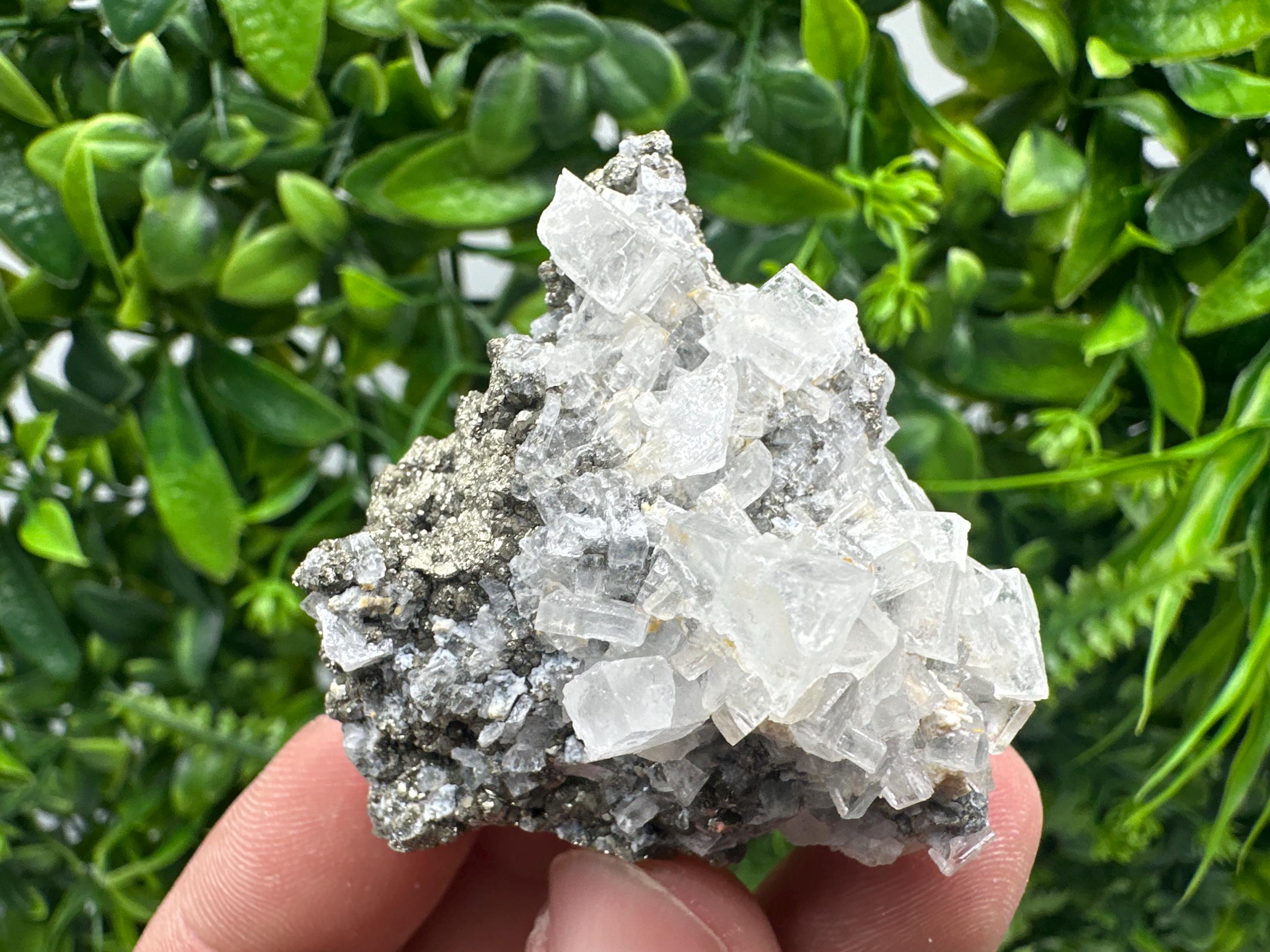 Barite Marcasite Chalcedony Cluster: Androvo Mine, Bulgaria
