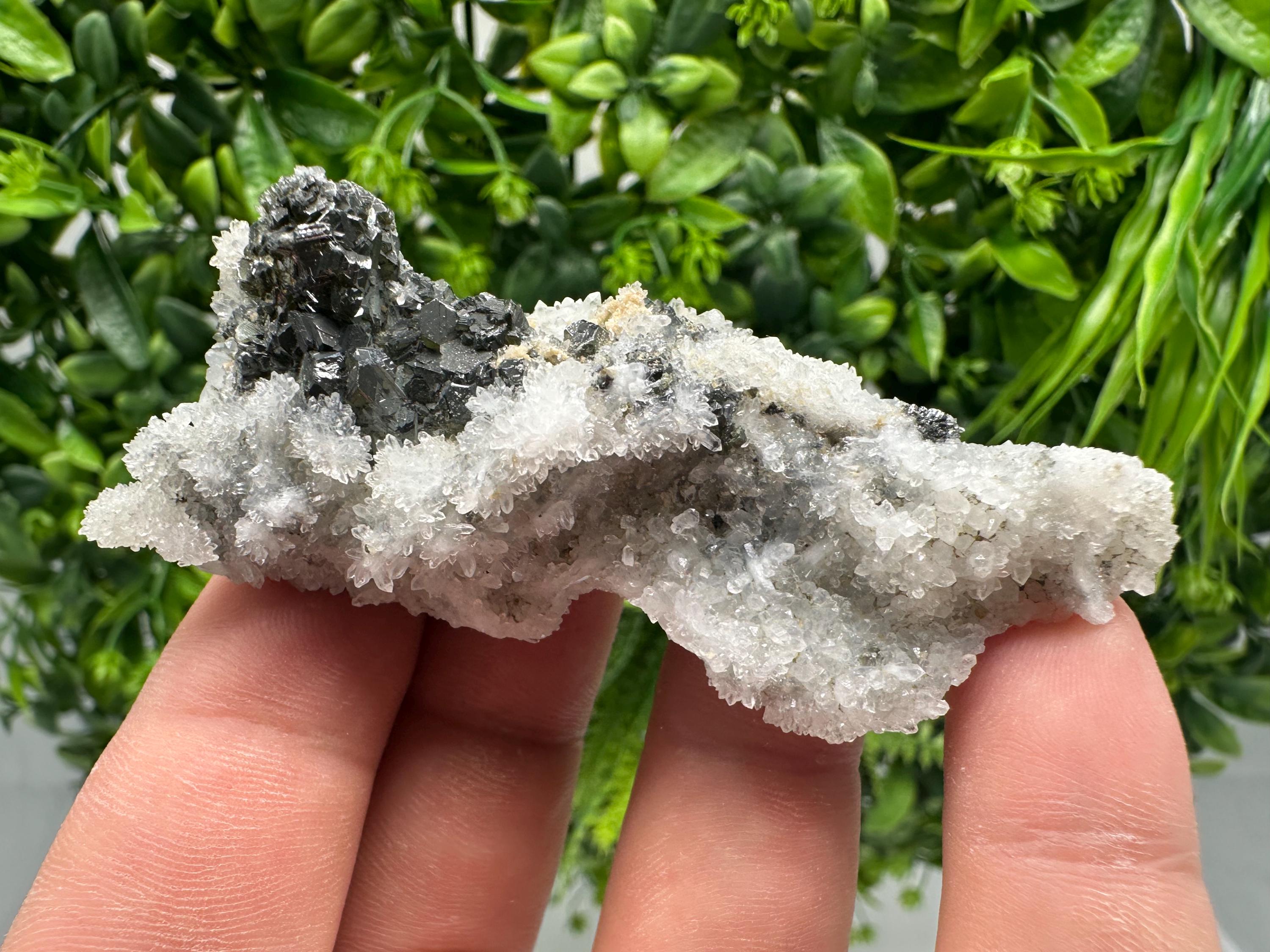 Sphalerite Cleiophane on Quartz, Krushev Dol Mine, Bulgaria
