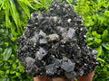 Galena, Pyrite, Chalcopyrite on Sphalerite Mineral Specimen, Bulgaria