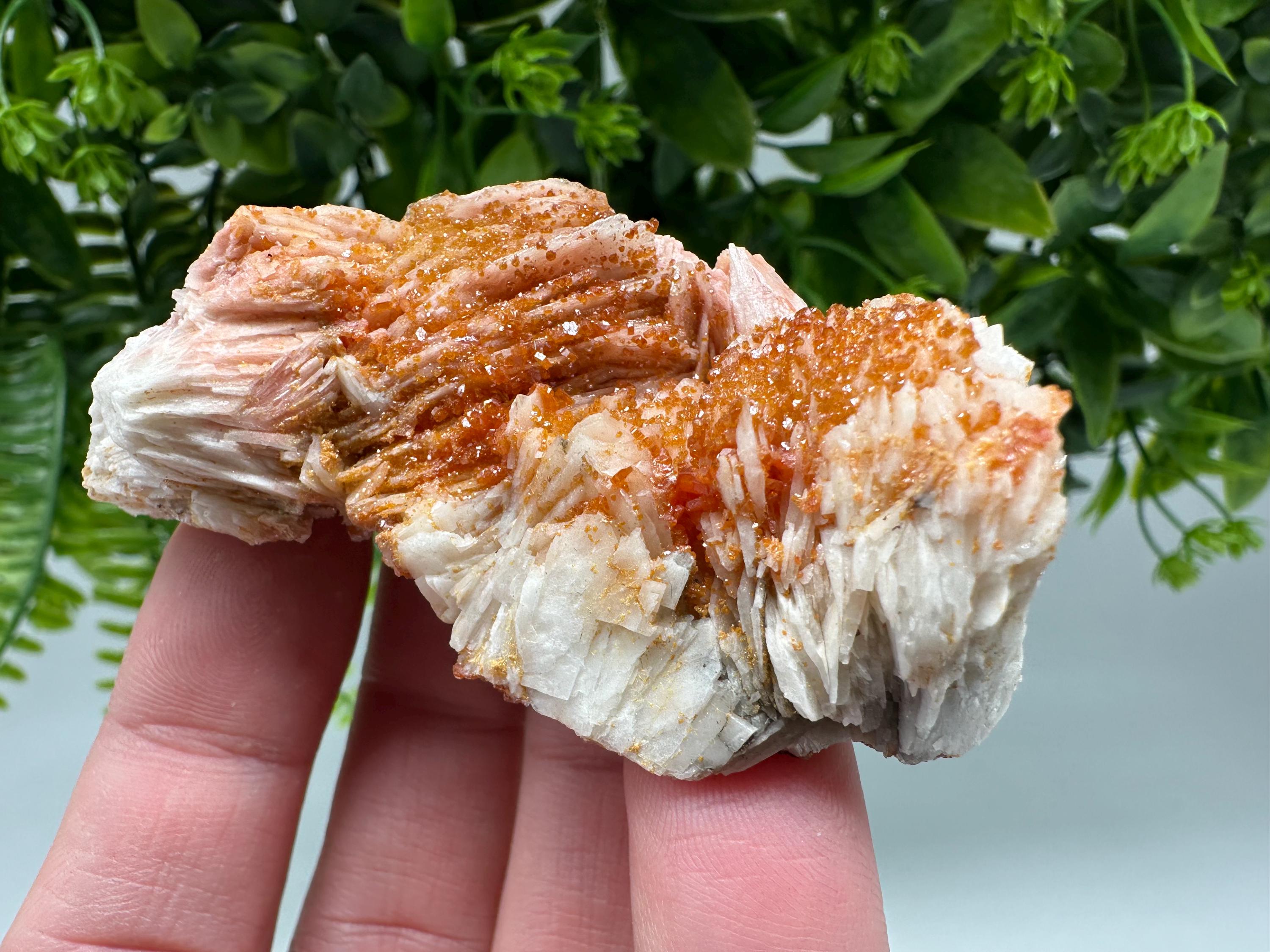 Red Vanadinite on Barite from Marocco,crystal minerals Speciment cluster Vanadinite crystal Vanadinite Geology Vanadinite cluster minerals