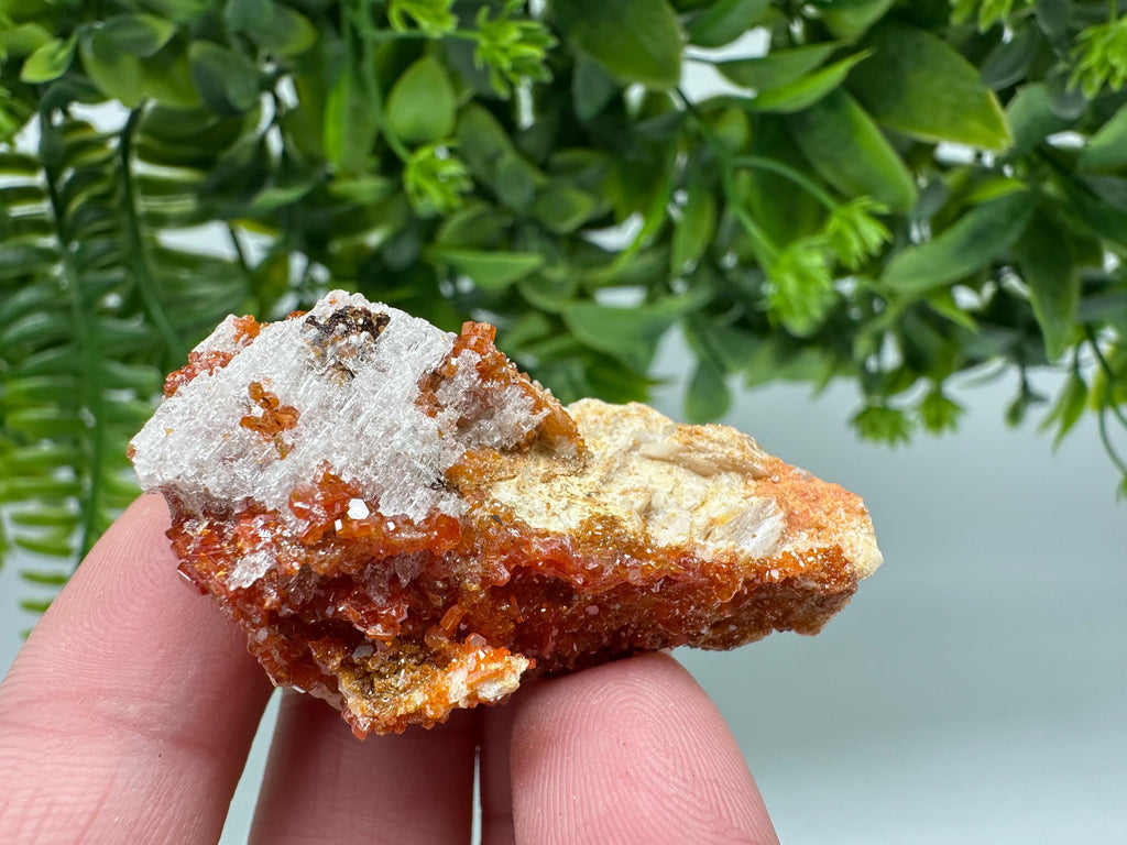 Red Vanadinite on Barite from Marocco,crystal minerals Speciment cluster Vanadinite crystal Vanadinite Geology Vanadinite cluster minerals