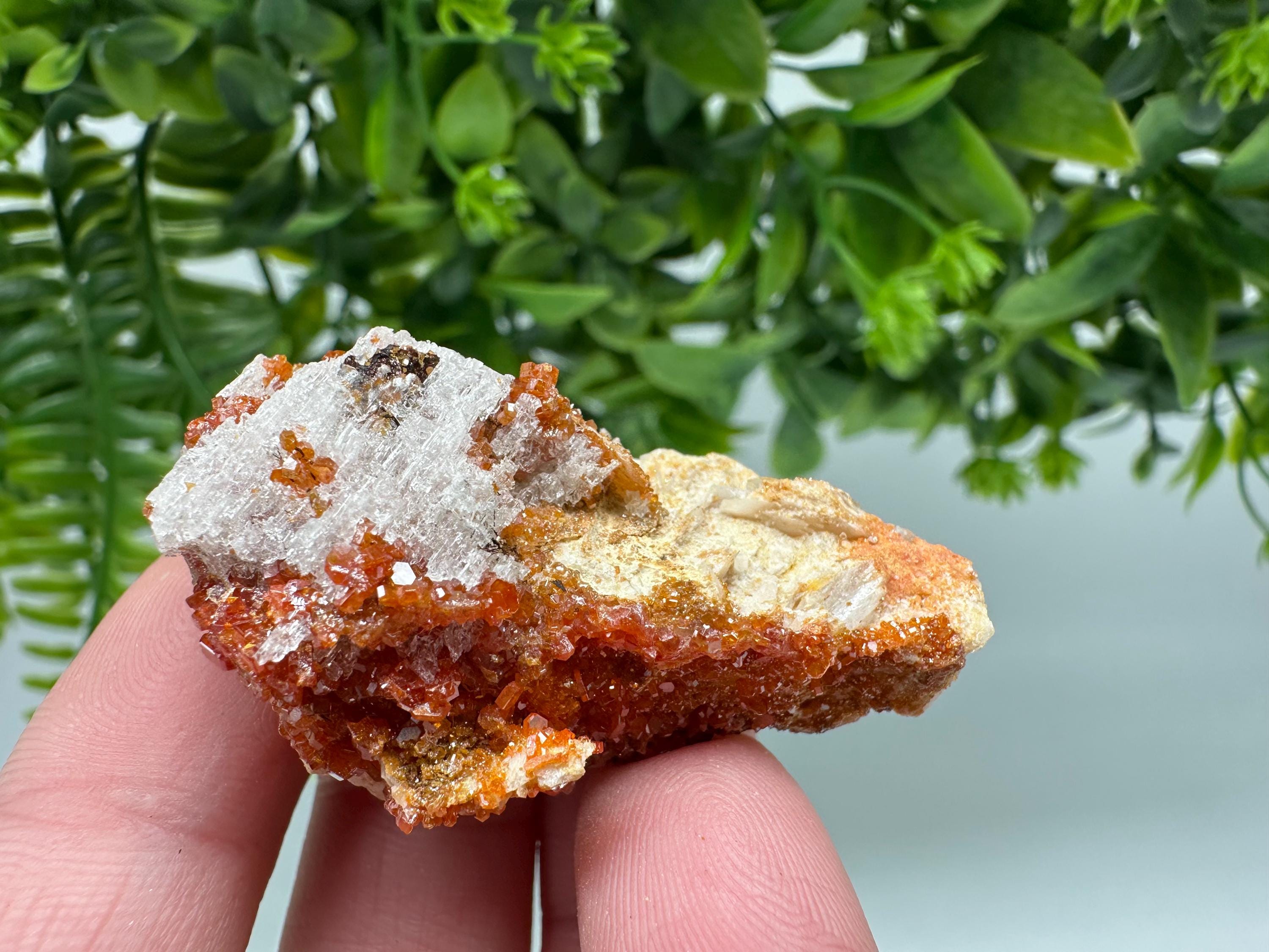 Red Vanadinite on Barite from Marocco,crystal minerals Speciment cluster Vanadinite crystal Vanadinite Geology Vanadinite cluster minerals