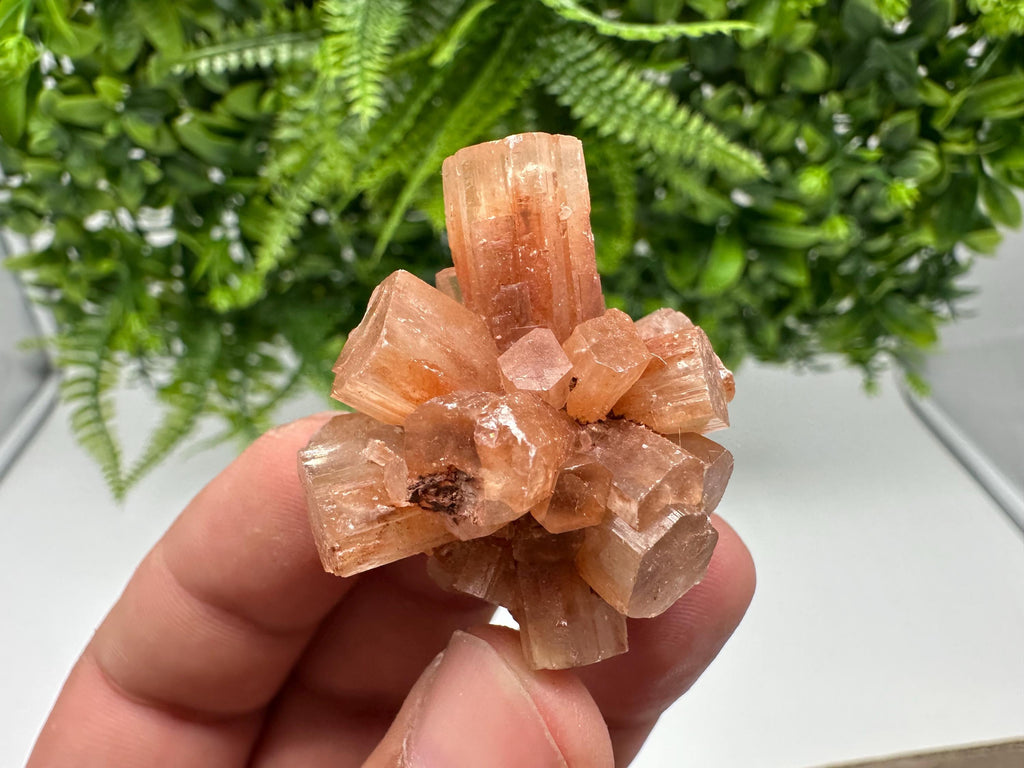 Aragonite Sputnik Cluster: Raw Moroccan Crystal Stone, Home Decor