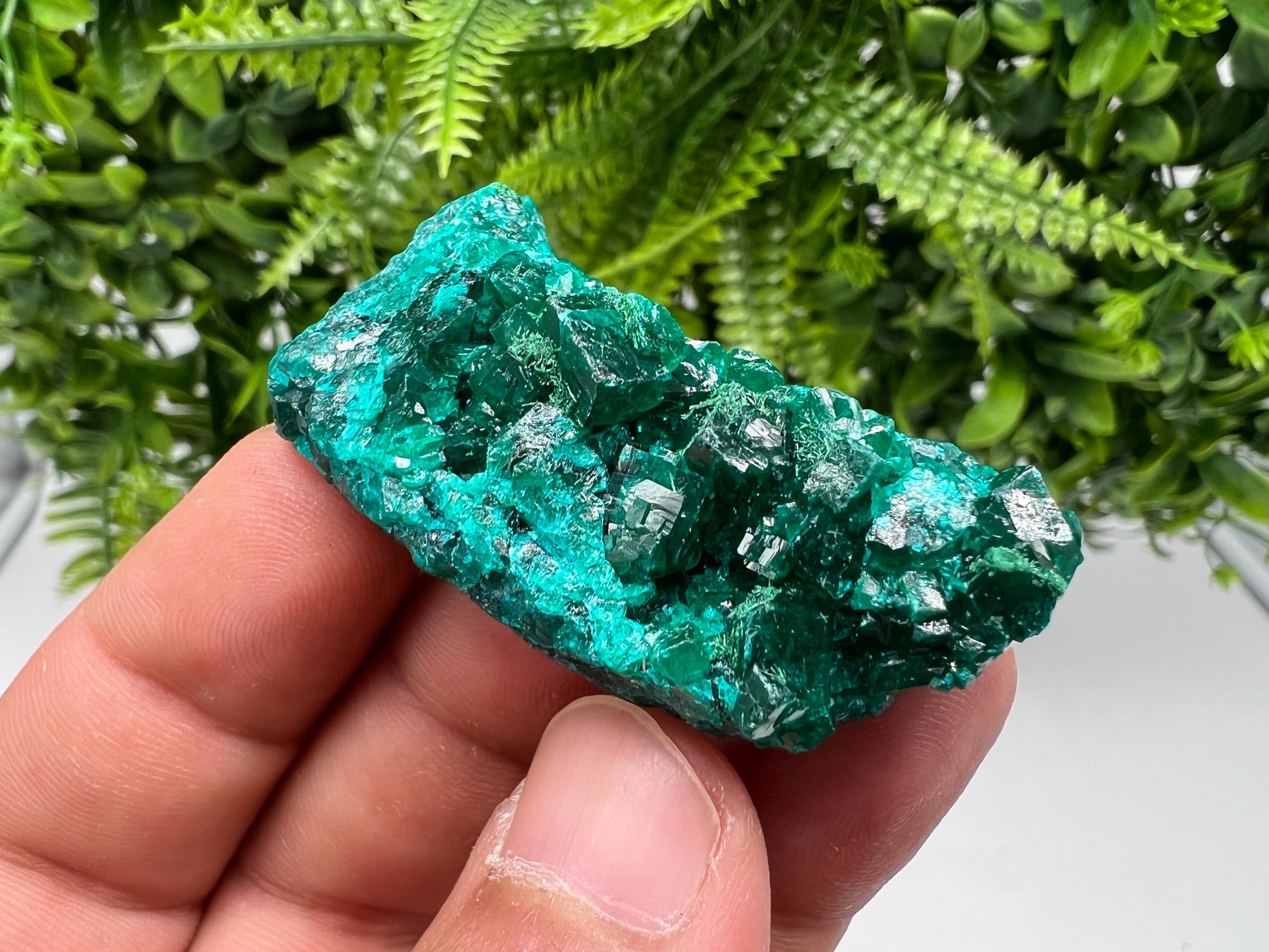 Stunning Green Dioptase from Sanda Hills,Mindouli,Pool Department,Mindouli District,Congo,green Dioptase,Dioptas Crystal,Dioptase collecting