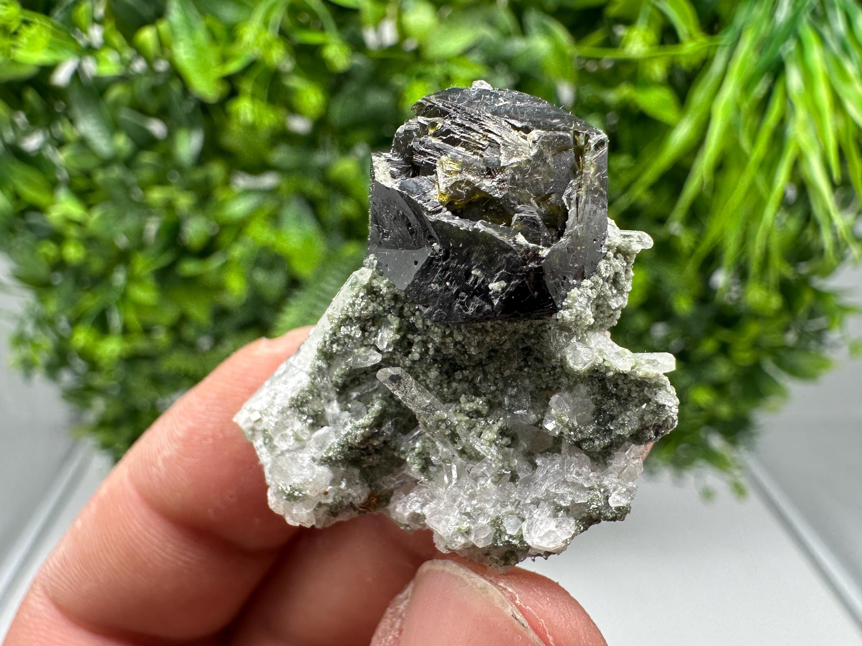 Stunning Sphalerite on  Quarzt from Borieva mine,Madan,Bulgaria,natural,collection mineral specimen,home decor crystal,gift,collection