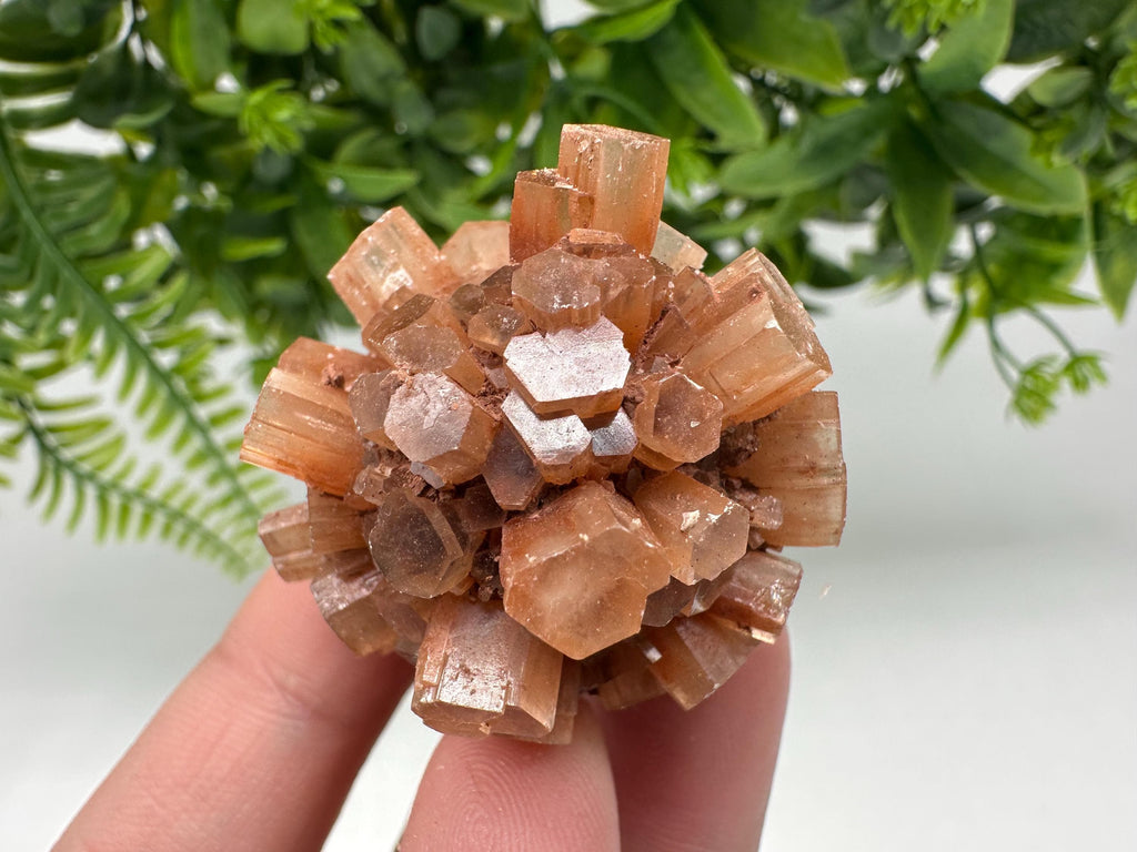 Aragonite Sputnik Cluster: Raw Moroccan Crystal Stone, Home Decor