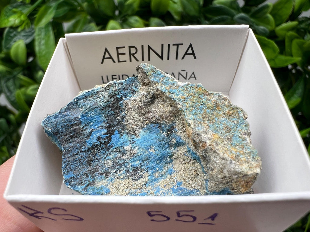 Rare Raw Aerinite Mineral Specimen: Collection Crystal from Lleida, Spain (4/3.5 CM)
