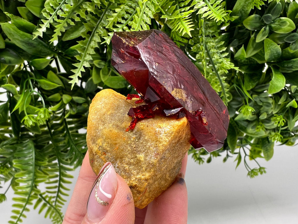 XXL Rare Pruskite Ruby Crystal on Matrix, Laboratory Grown