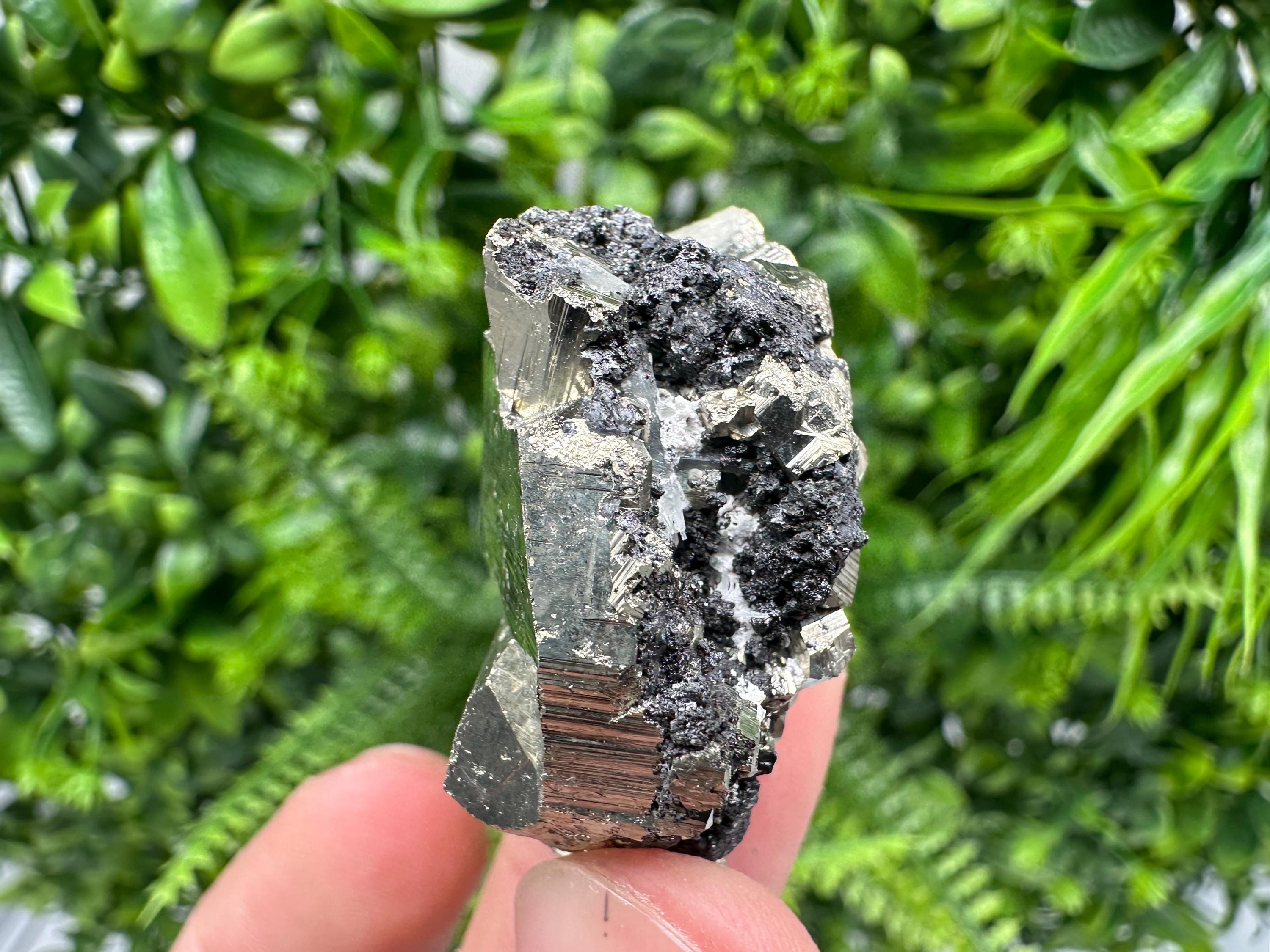 Pyrite on Sphalerite Mineral Specimen, Rare Crystal Decor