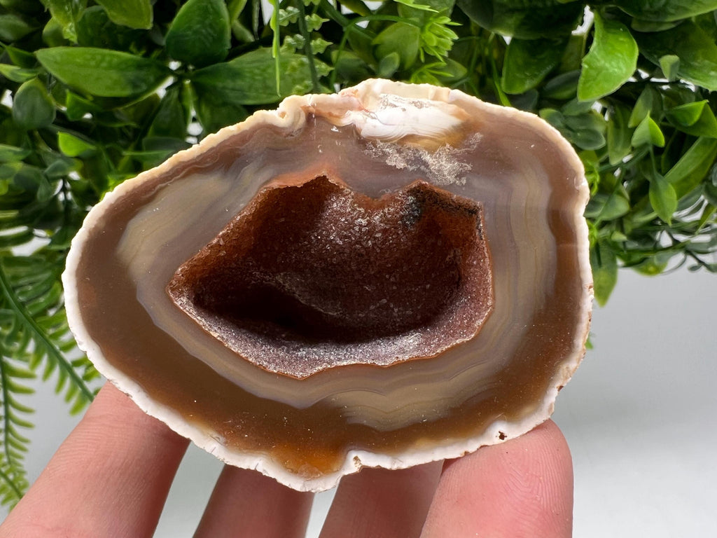Natural Agate Druzy Geode, Brown and White Crystal, 141 grams
