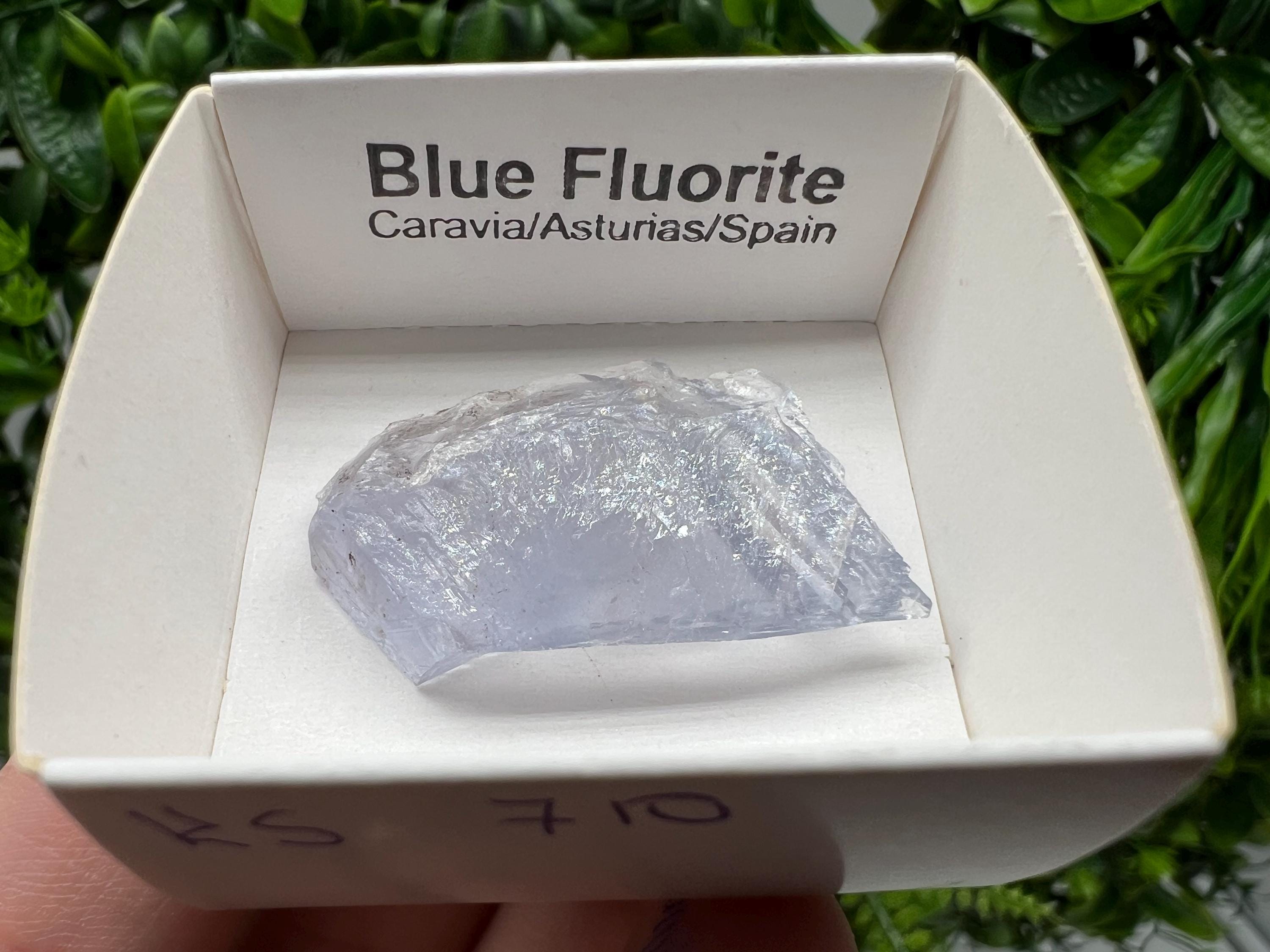 Blue Fluorite Mineral Specimen: Spain Collection (3.5/2.5 cm)