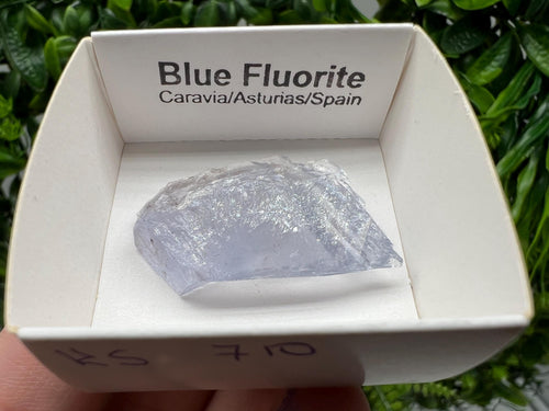 Blue Fluorite Mineral Specimen: Spain Collection (3.5/2.5 cm)