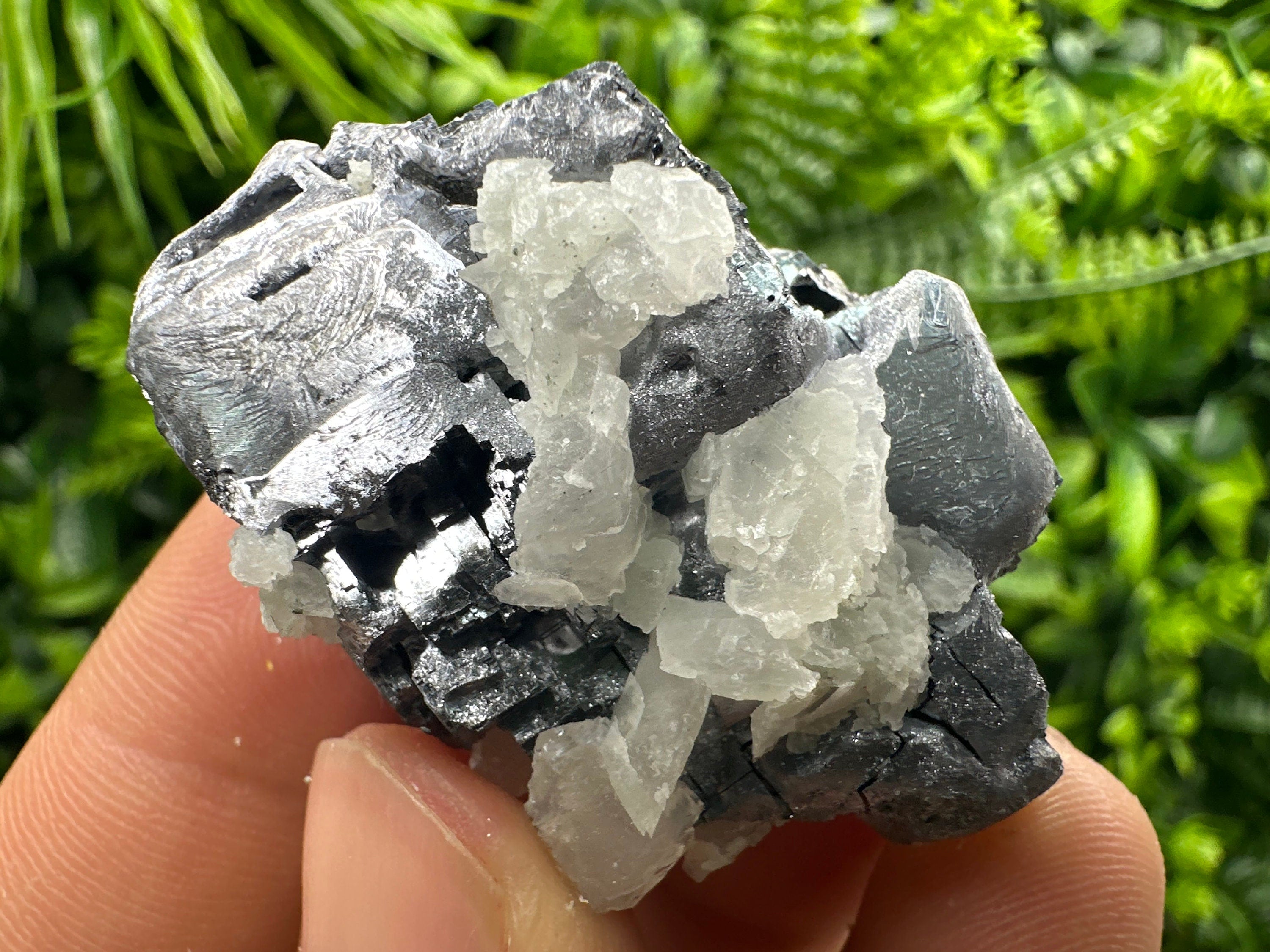 Galena Cluster: Borieva Mine, Madan, Bulgaria