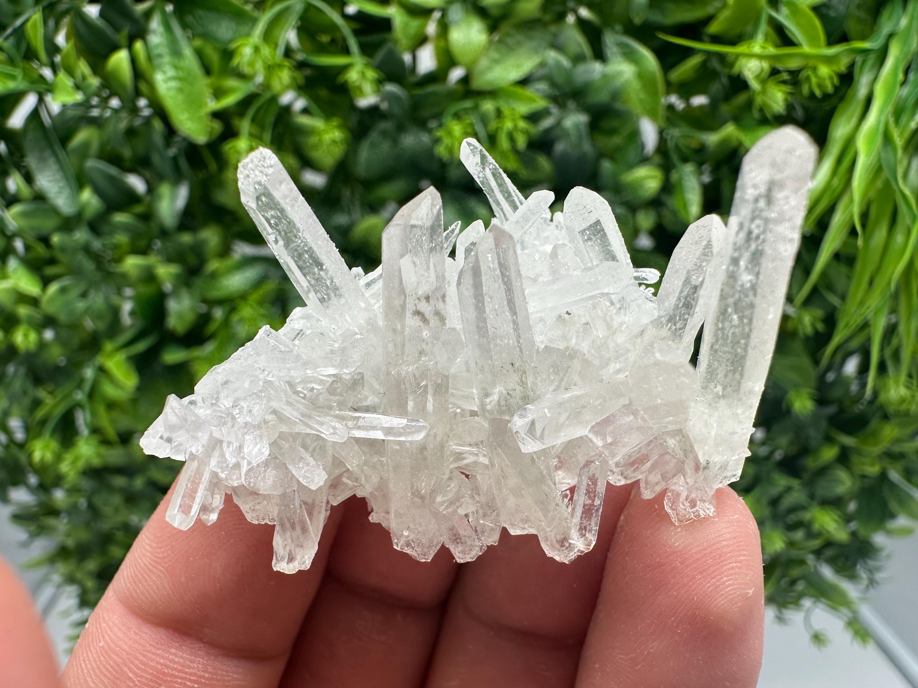Transparent Quartz on Chlorite Matrix, Borieva Mine, Bulgaria