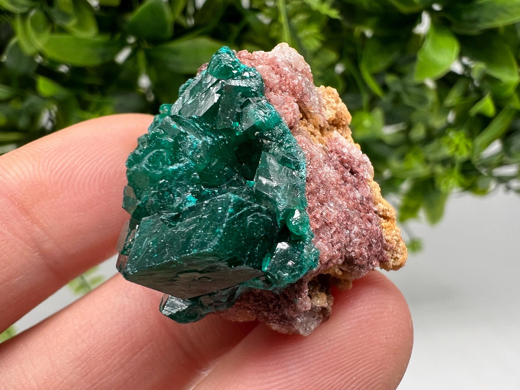 Green Dioptase Crystal, Mindouli Congo