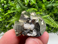 Mini Rainbow Pyrite Cluster: Borieva Mine, Bulgaria