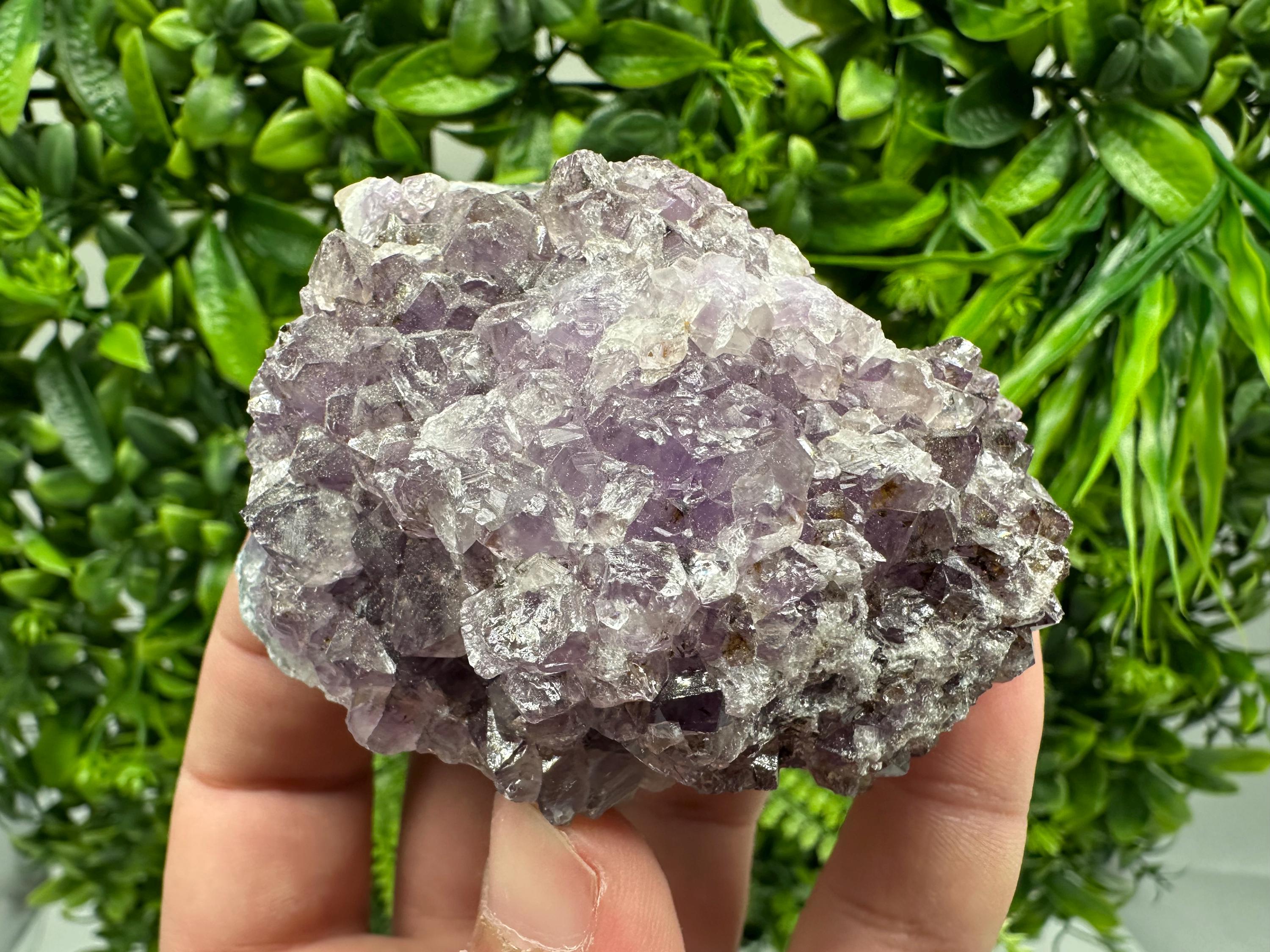 Brazilian Amethyst Cluster, Purple Quartz Crystal Specimen