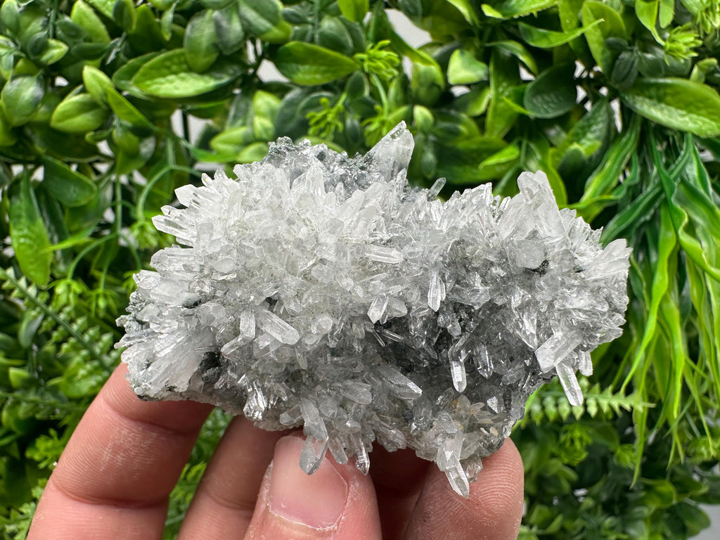 Transparent Quartz on Chlorite Matrix, Bulgaria Mineral Specimen