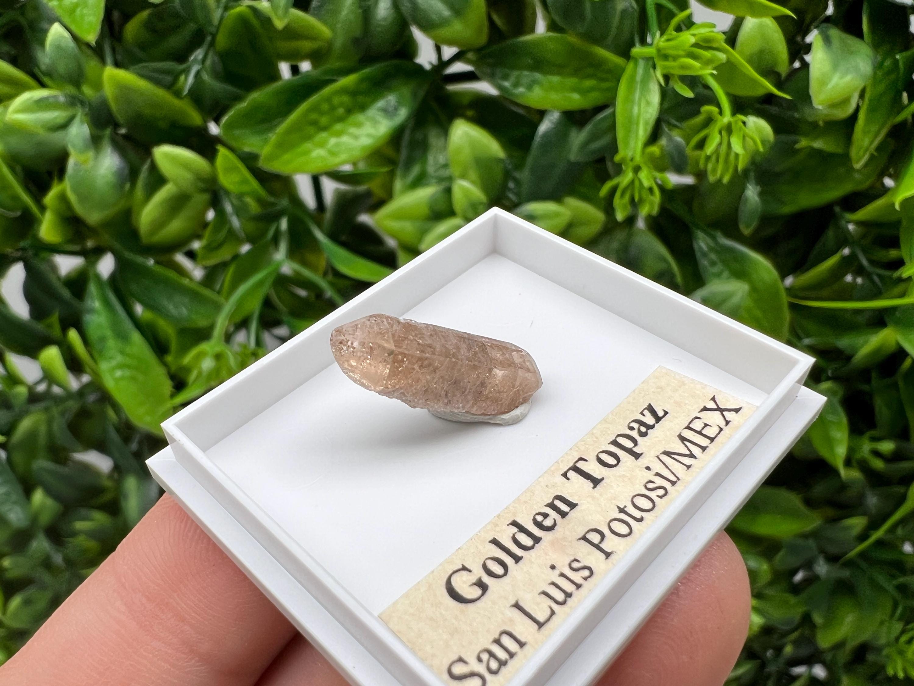 Mexican Golden Topaz Crystal, Mineral Collection Piece, Original