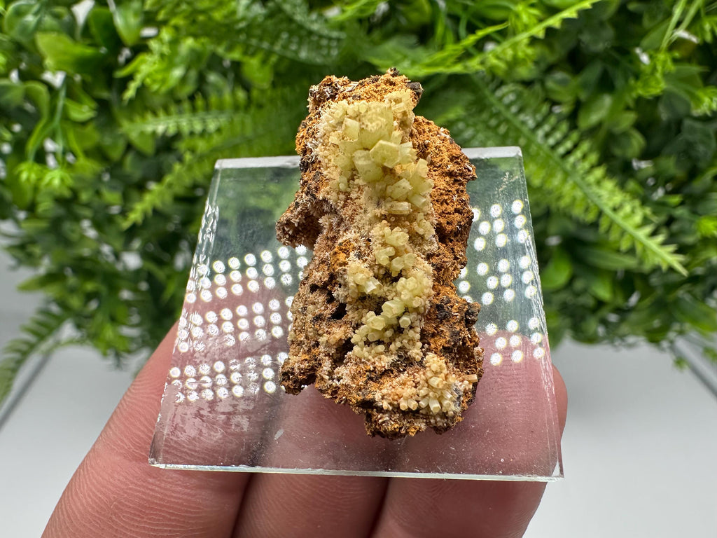 Green Yellow Pyromorphite Hematite on Quartz, Madjarovo Bulgaria