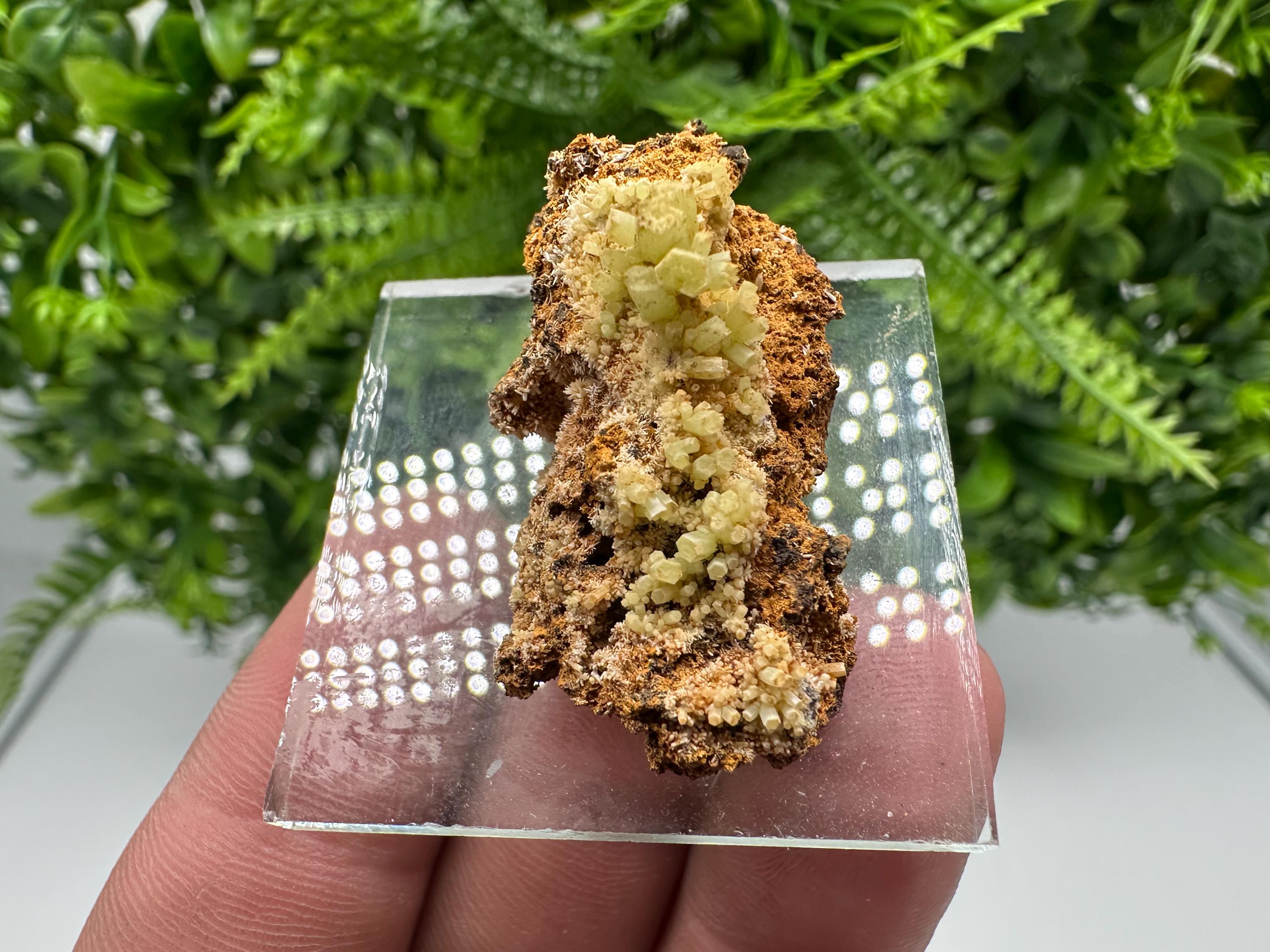 Green Yellow Pyromorphite Hematite on Quartz, Madjarovo Bulgaria