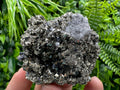 Golden Pyrite Crystal: Borieva Mine, Bulgaria