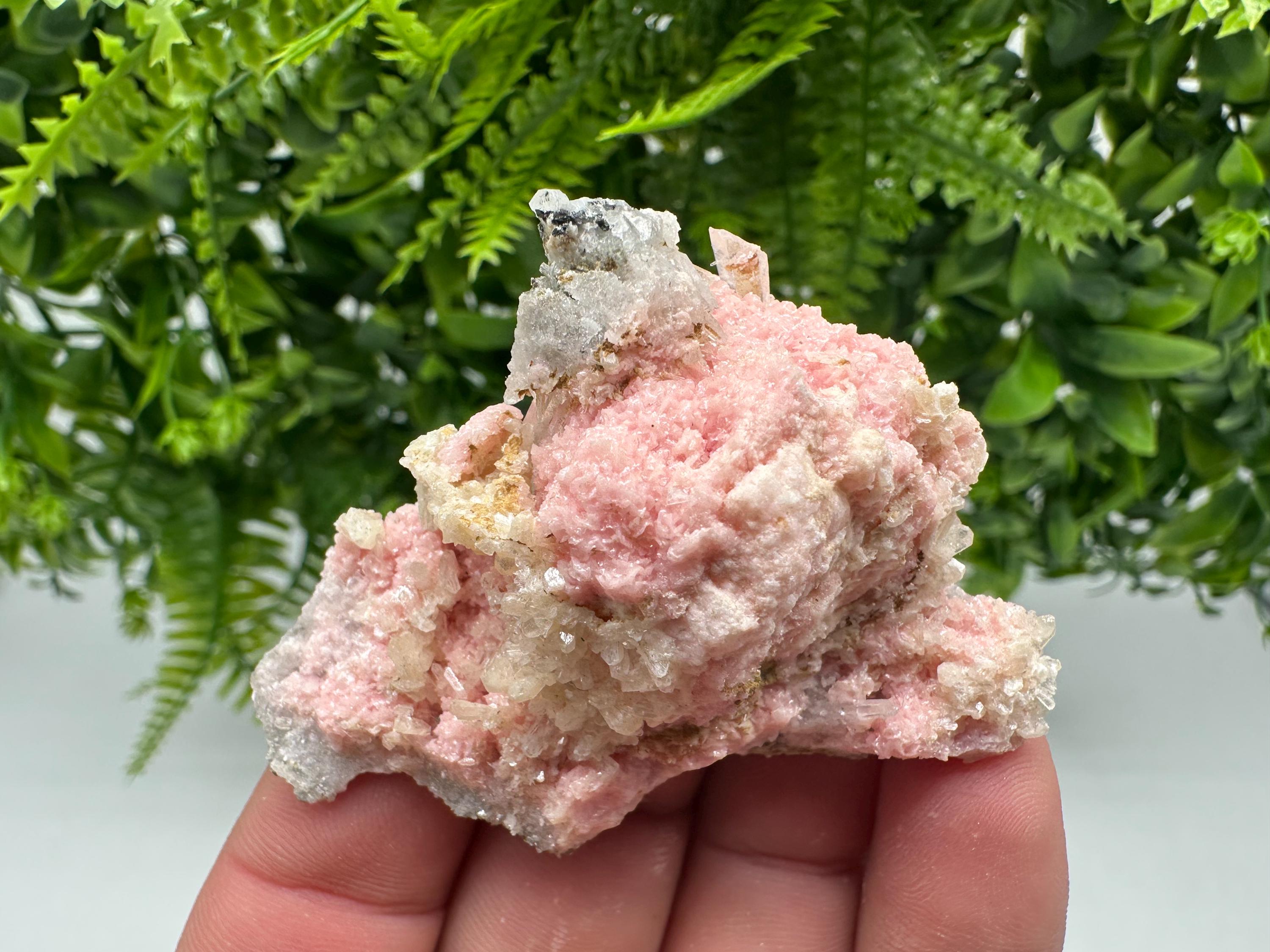 Pink Rhodochrosite Mineral Specimen, Starnica Mine, Bulgaria