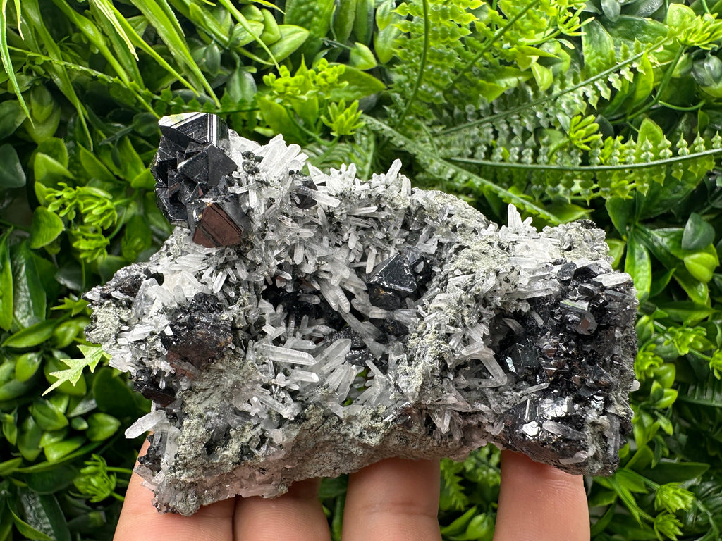 Sphalerite on Quartz Cluster: Borieva Mine, Bulgaria