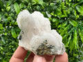 UV Mangano Calcite Crystal: Borieva Mine, Bulgaria