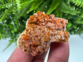 Red Vanadinite on Barite, Morocco Mineral Specimen Cluster